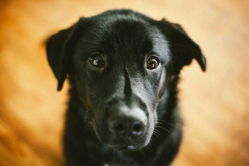 Heather-miller-lyC6JP6tSXg-unsplash-72537