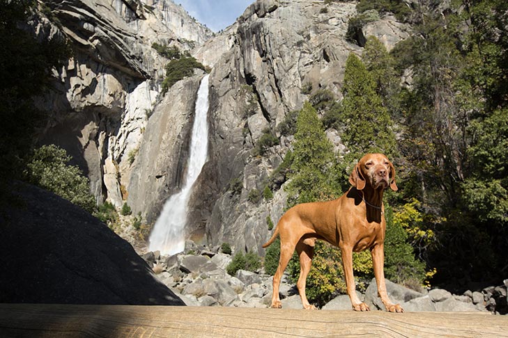National parks