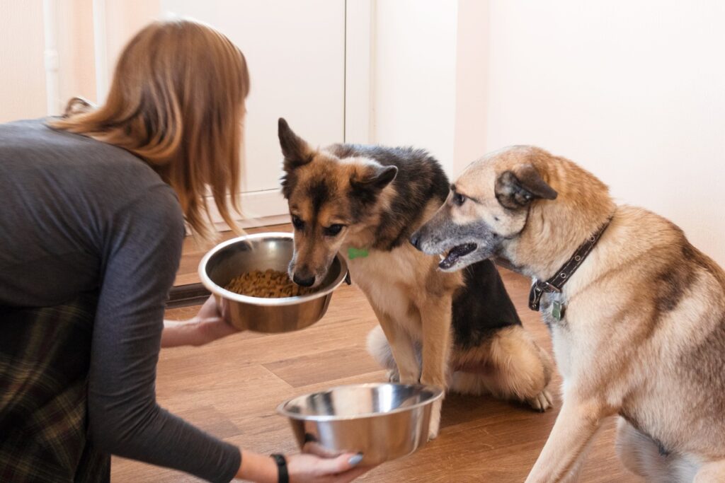 Pet nutrition