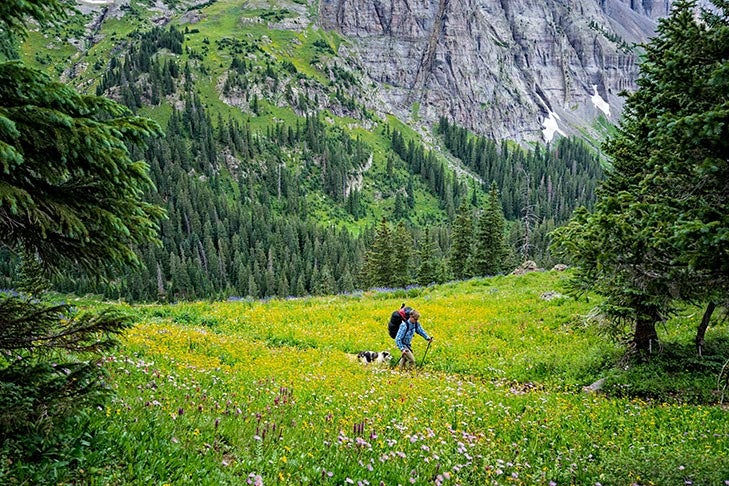 National parks