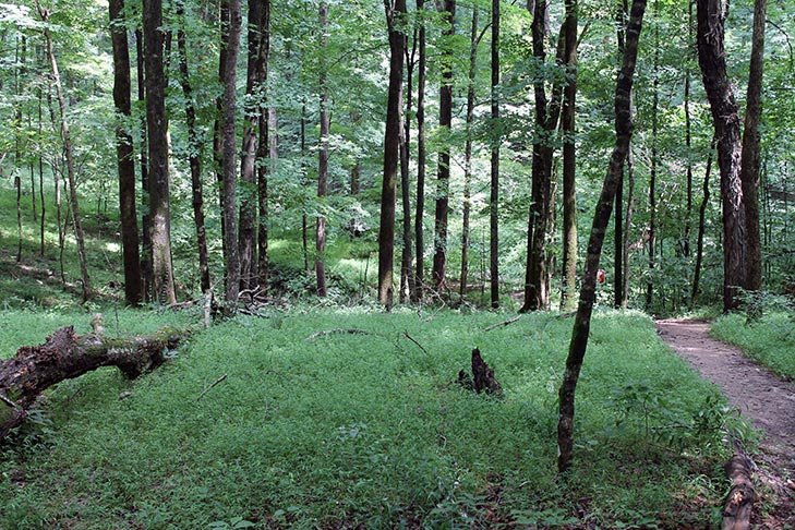 National parks