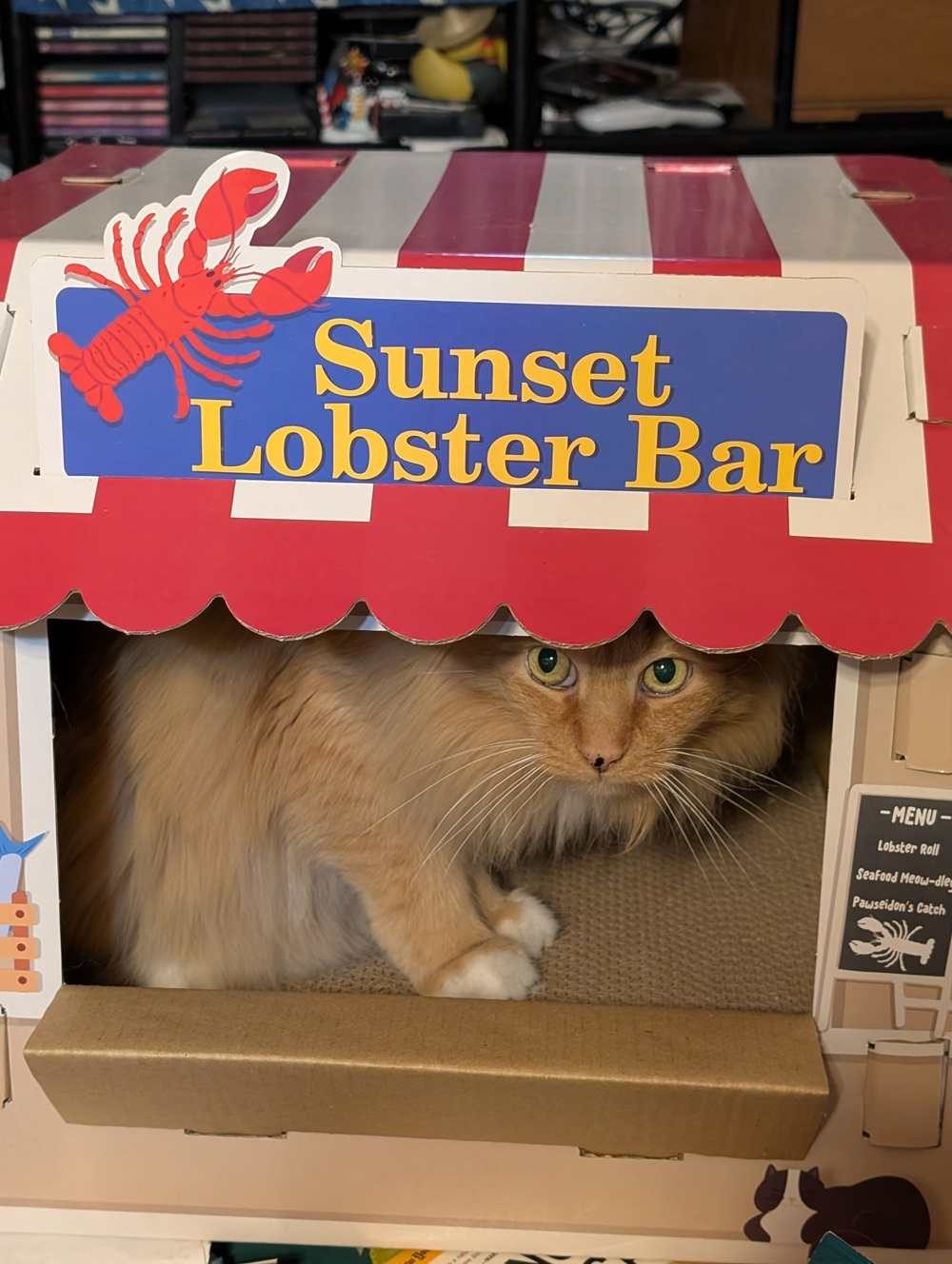 Frisco Coastal Lobster Restaurant Cardboard Cat House with Catnip