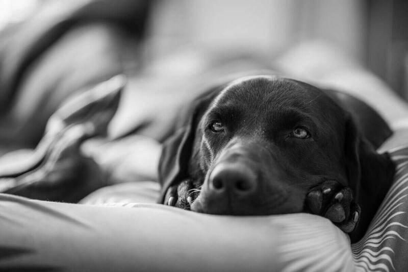 Chris-mills-JeuKR9Ue4LM-unsplash-51213